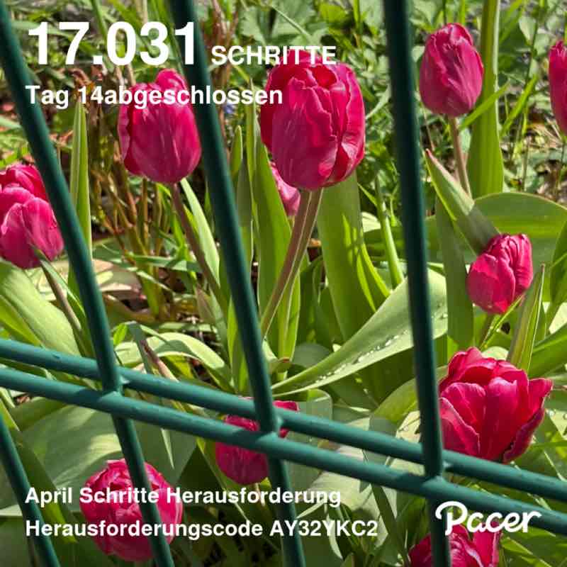 🎭 Moni 🎭 post 1