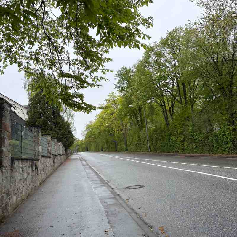 🎭 Moni 🎭 post 2