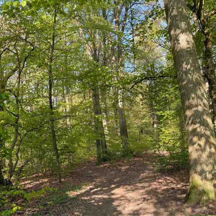 🎭 Moni 🎭 post 3