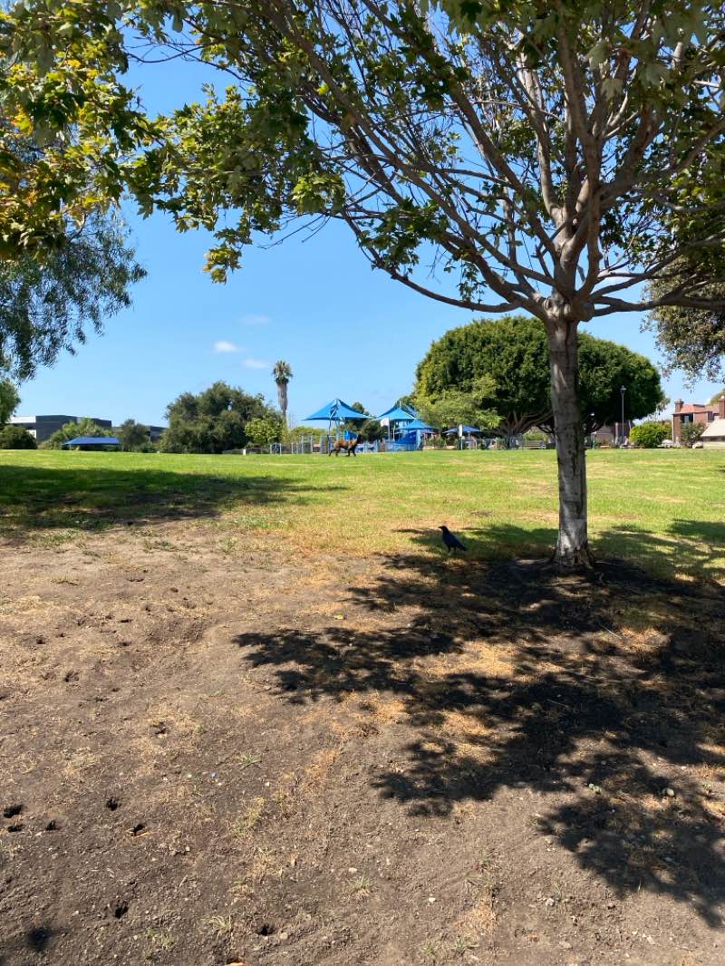 walking near me in Glen Alla Park in autumn