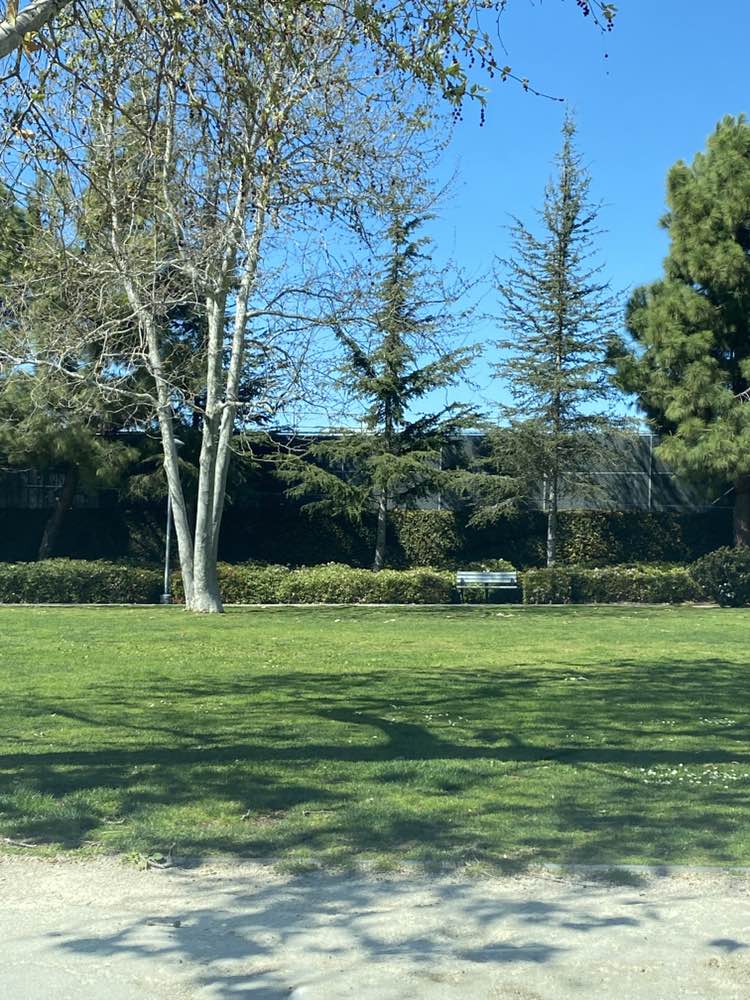 walking near me in Airport Park in spring