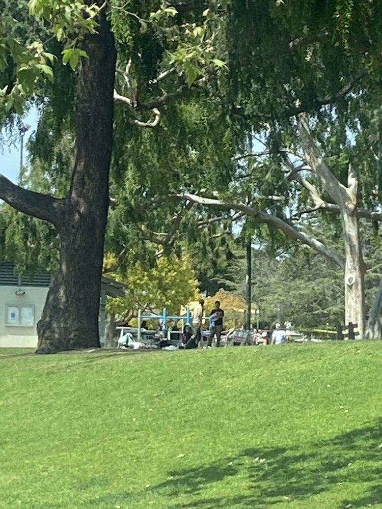 walking near me in Douglas Park in spring