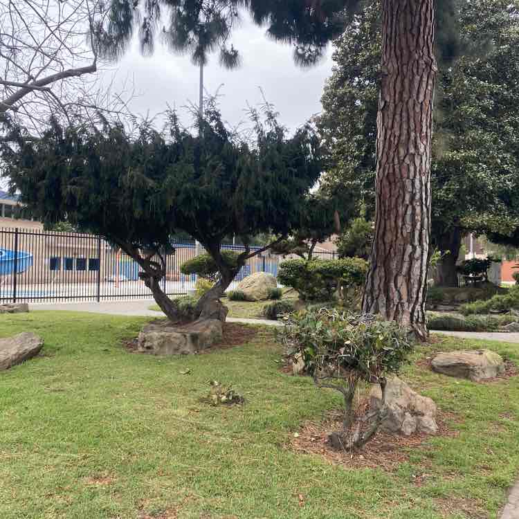 KoreanGodfather post 1