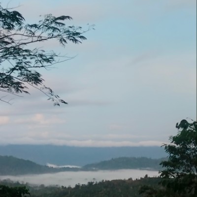 Lampung Barat Walkers & Runners Ade | Abdurrahman Muhtadin Tabrani post image