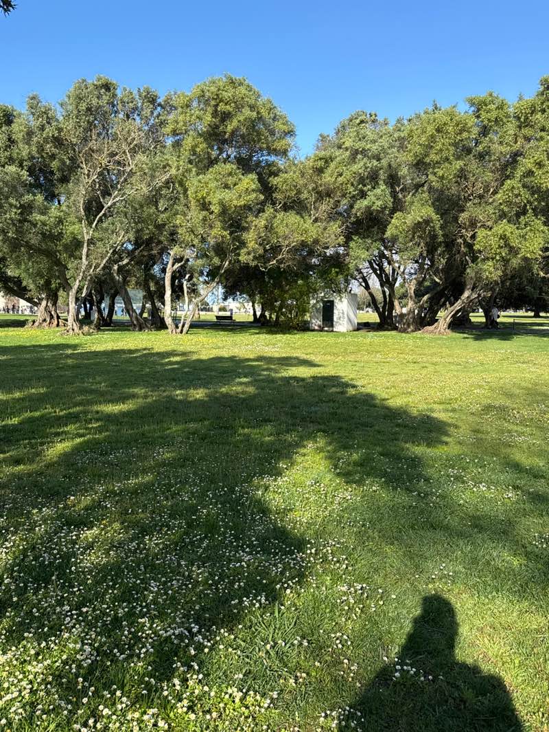 walking near me in Jardim António Viana Barreto in spring