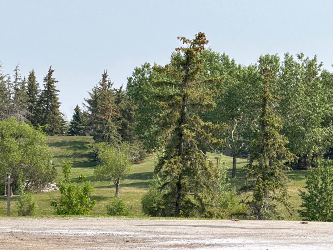 walking near me in Rochdale Park in summer
