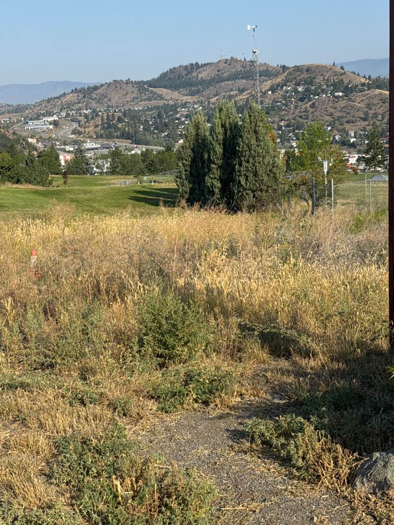walking near me in Aberdeen Hills Park in autumn
