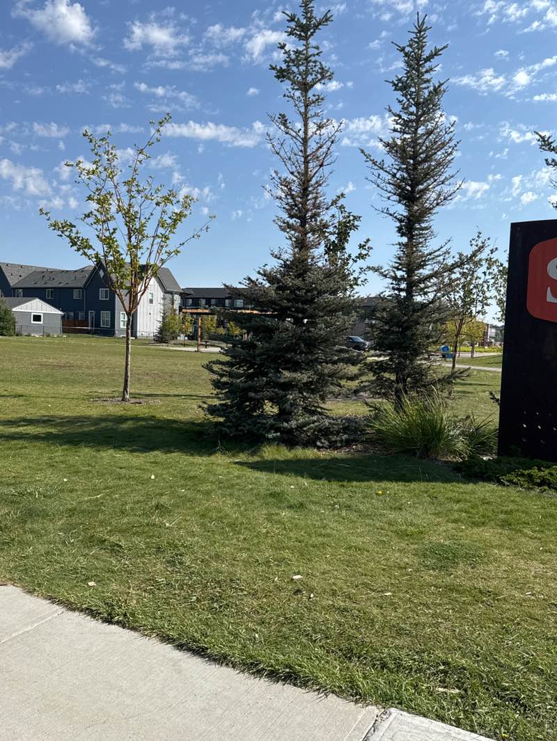 walking near me in Savanna Park in autumn