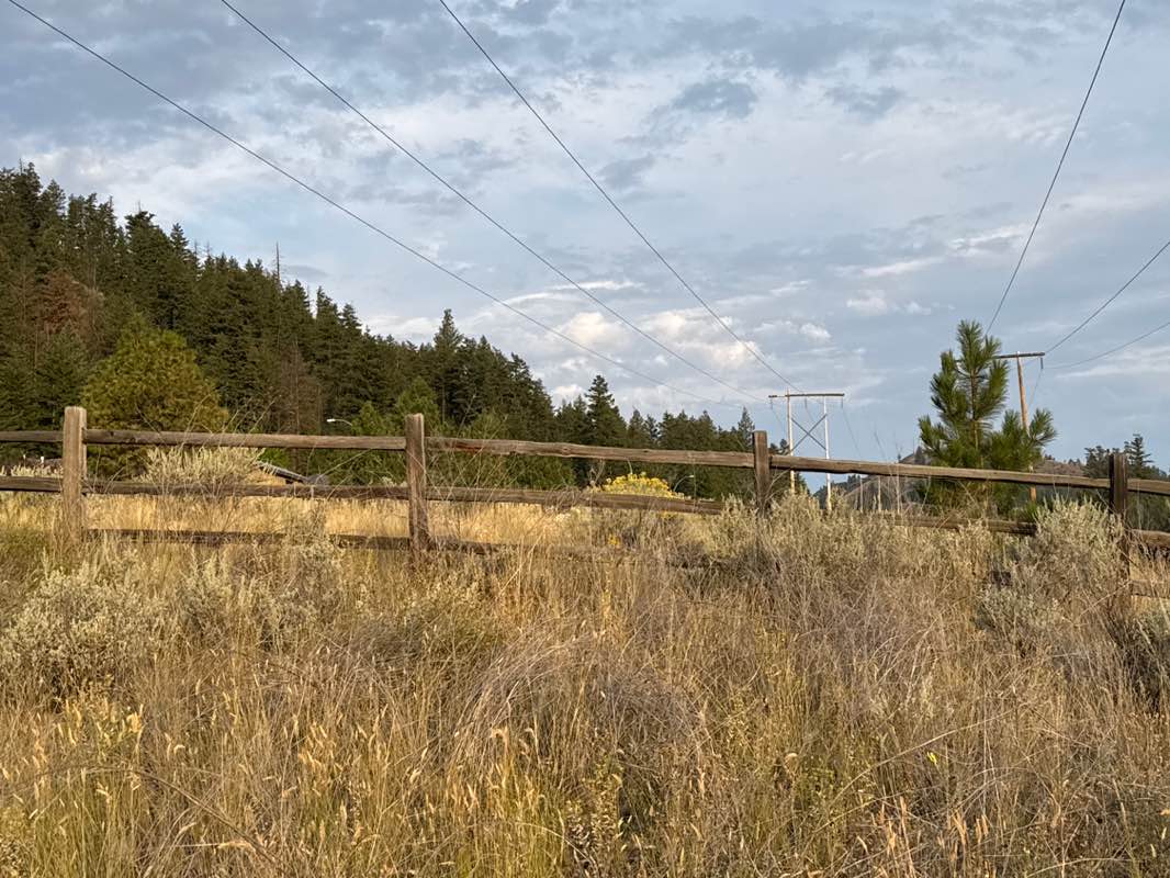 walking near me in Kenna Cartwright Nature Park in autumn