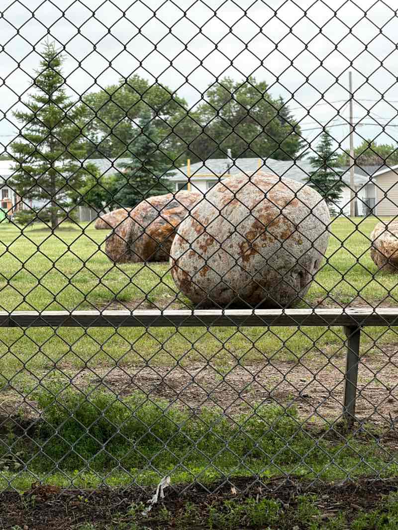 walking near me in Hillcrest Play Park in summer