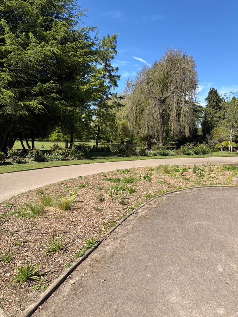 walking near me in Clarence Park in spring