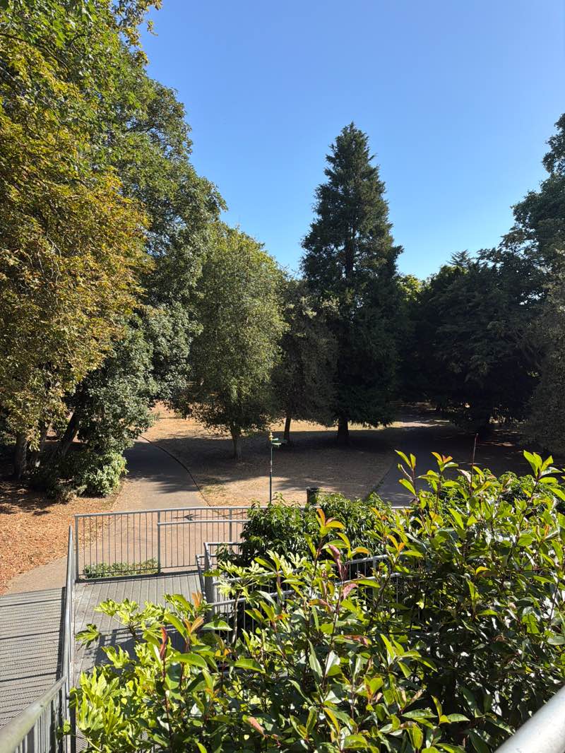 walking near me in Clarence Park in summer