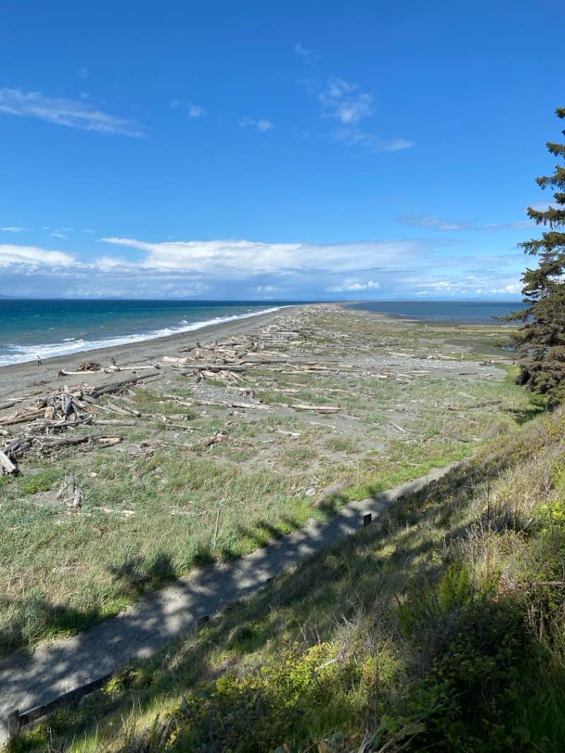 walking near me in Dungeness National Wildlife Refuge in winter