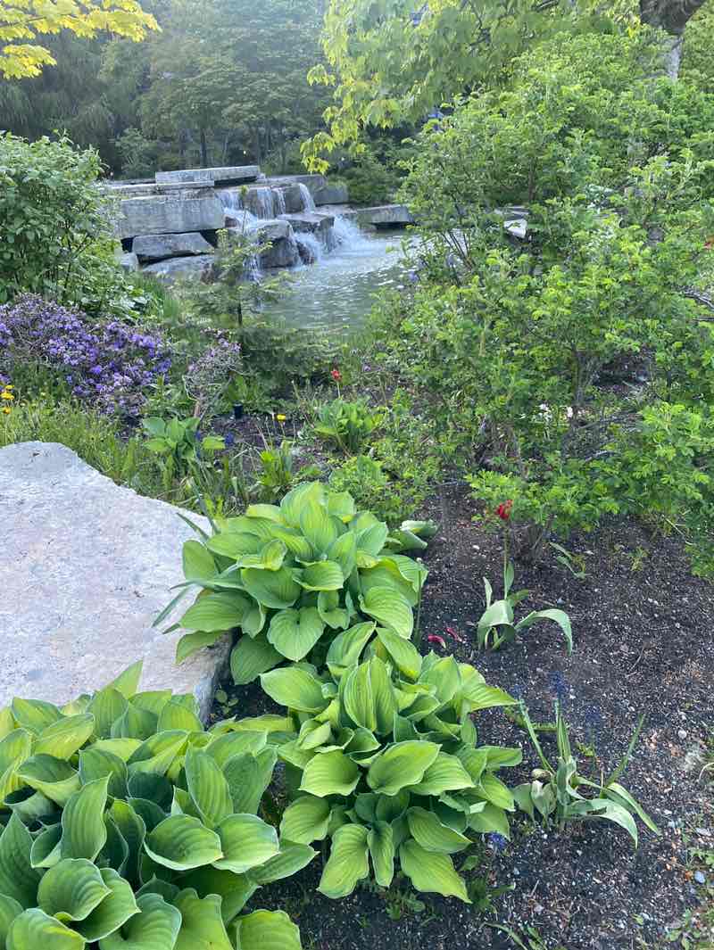 walking near me in Florence Peterson Park in spring