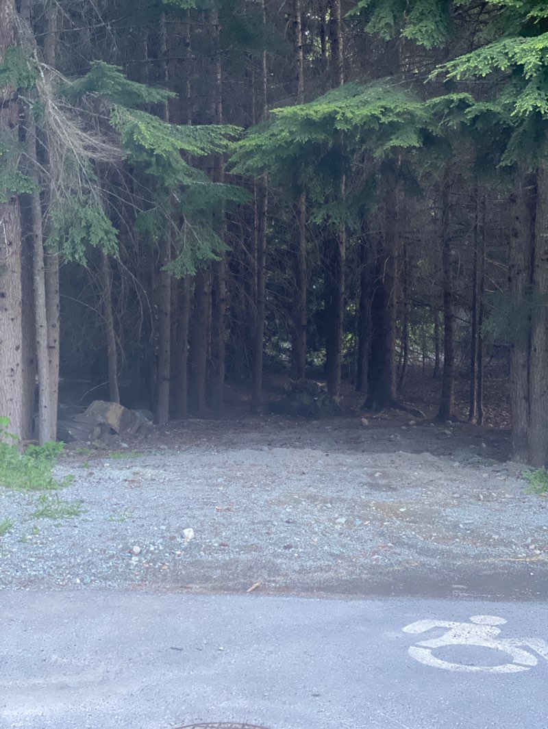 walking near me in White Gold Park in spring