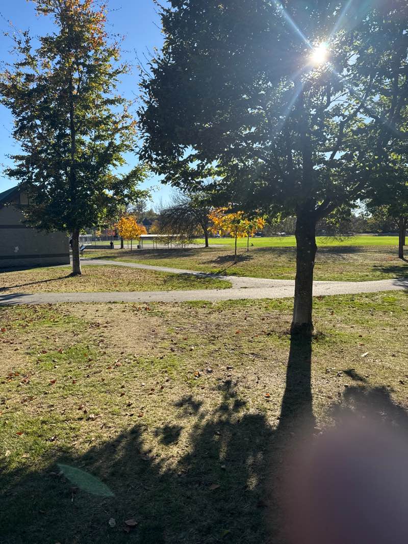 walking near me in Erma Stephenson Park in autumn