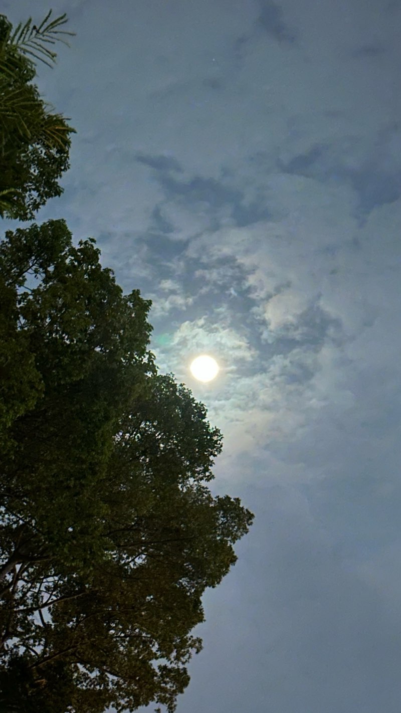 walking near me in Dinh Độc Lập in spring