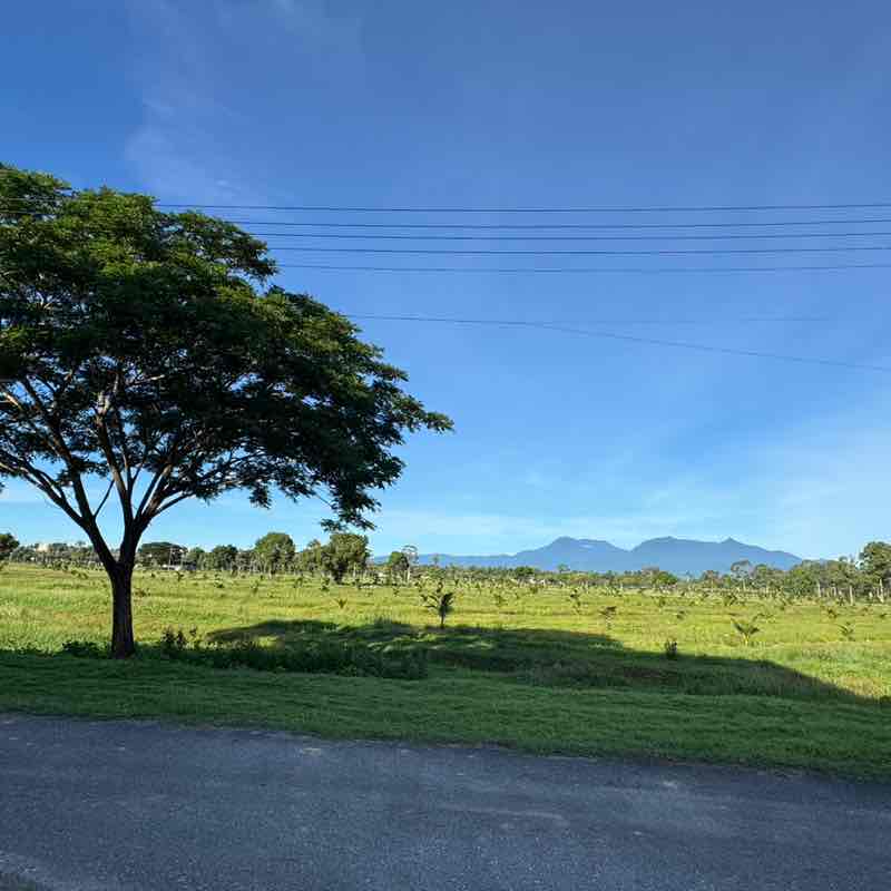 Lexy1983 post 2