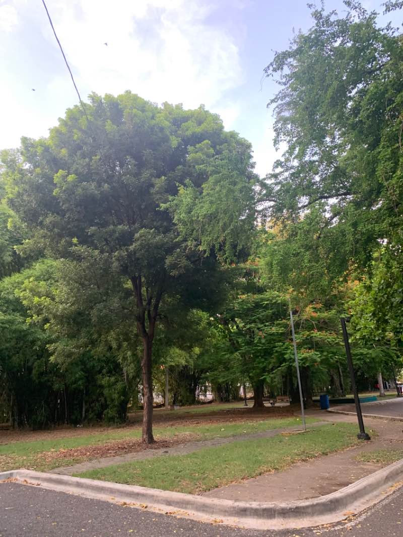 walking near me in Parque Iberoamérica in winter