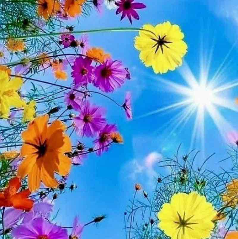 Абдурахман 🐯 post 1