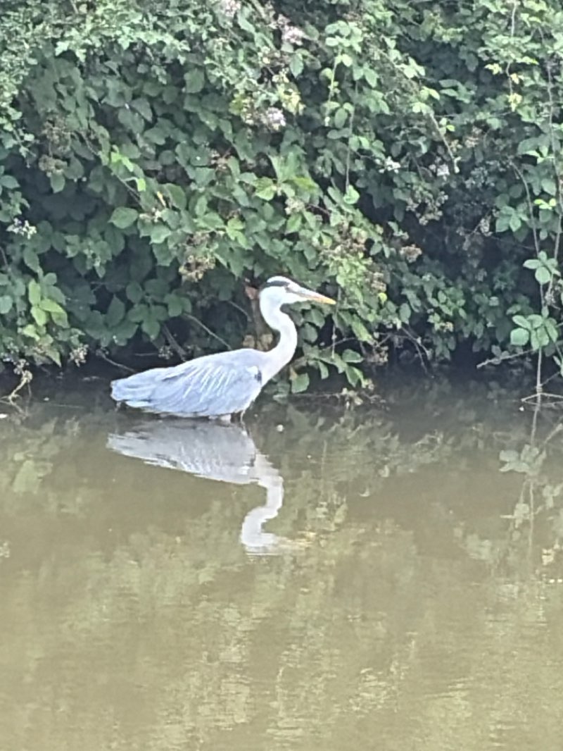 walking near me in Parsons Close Recreation Ground in summer
