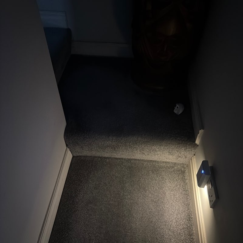 Dallin Bowes-Taylor post 1