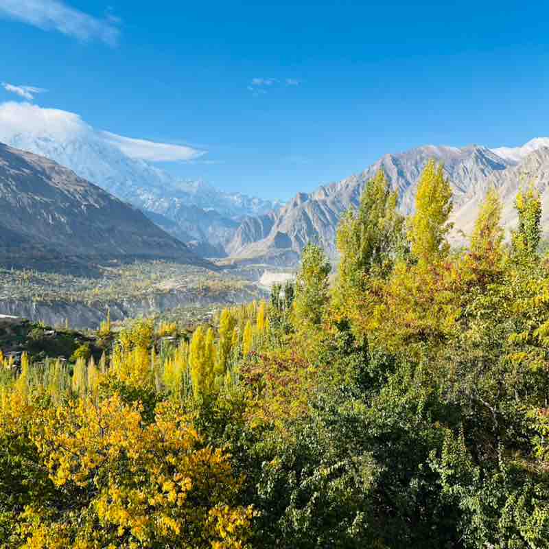 Augustavian (Leo) post 1