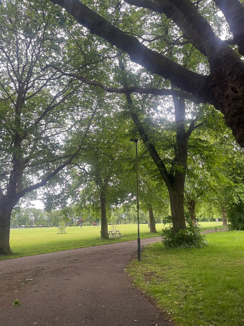 walking near me in Normanton Park in spring