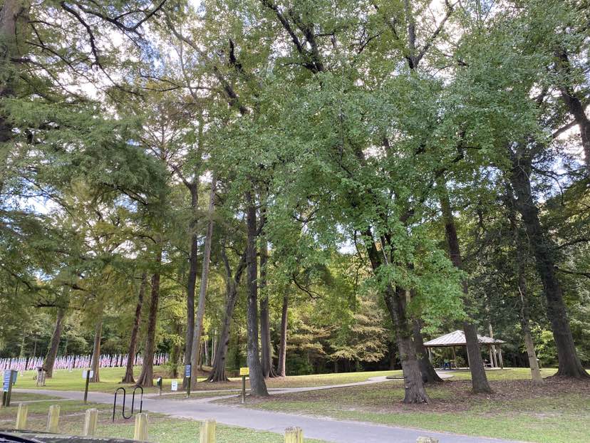 walking near me in Greensprings Park in autumn