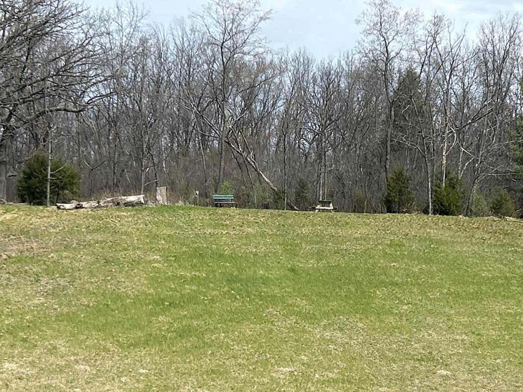 walking near me in Stone Brook Hollow Walking Trails in spring