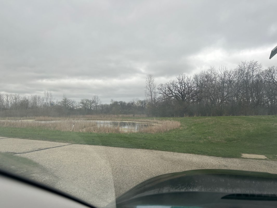 walking near me in Mukwonago River State Natural Area in spring