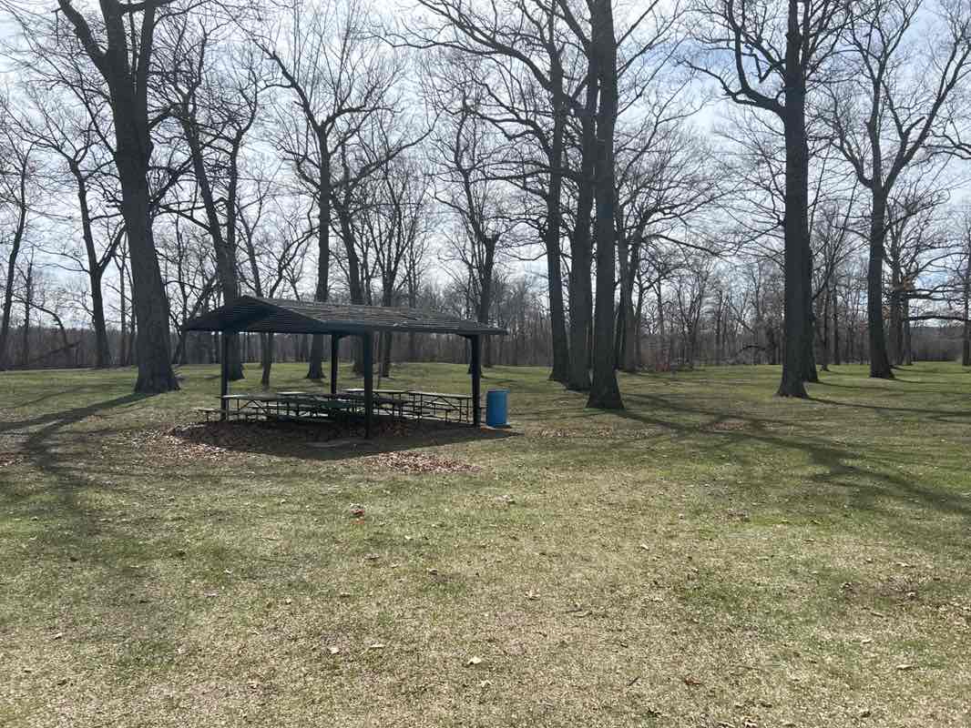 walking near me in Minor Park in spring