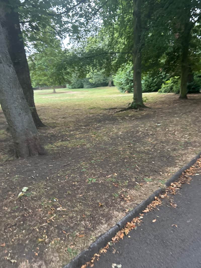 walking near me in Carr Lodge Park in summer