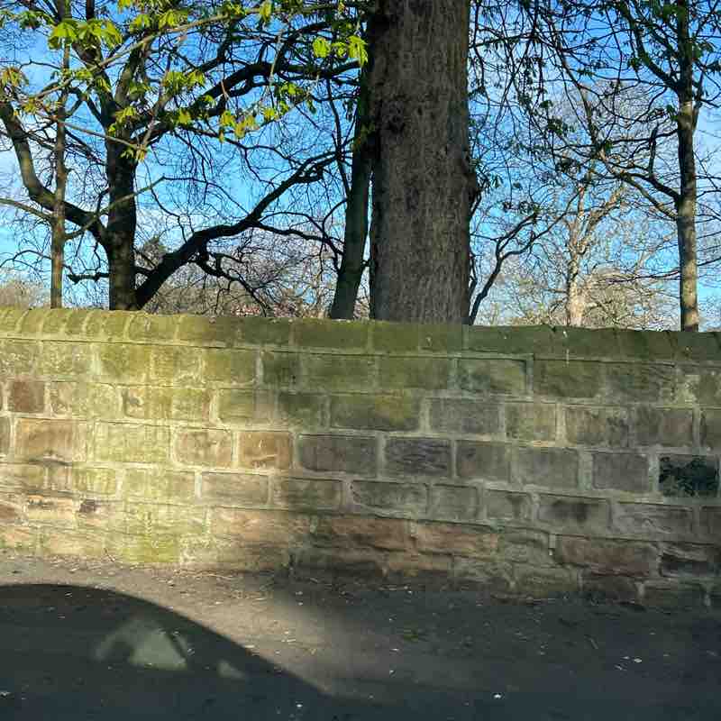 PacerGal_1998 post 1