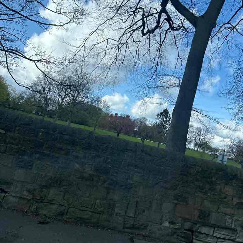 PacerGal_1998 post 1