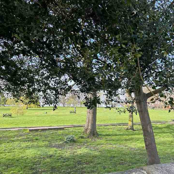 PacerGal_1998 post 1