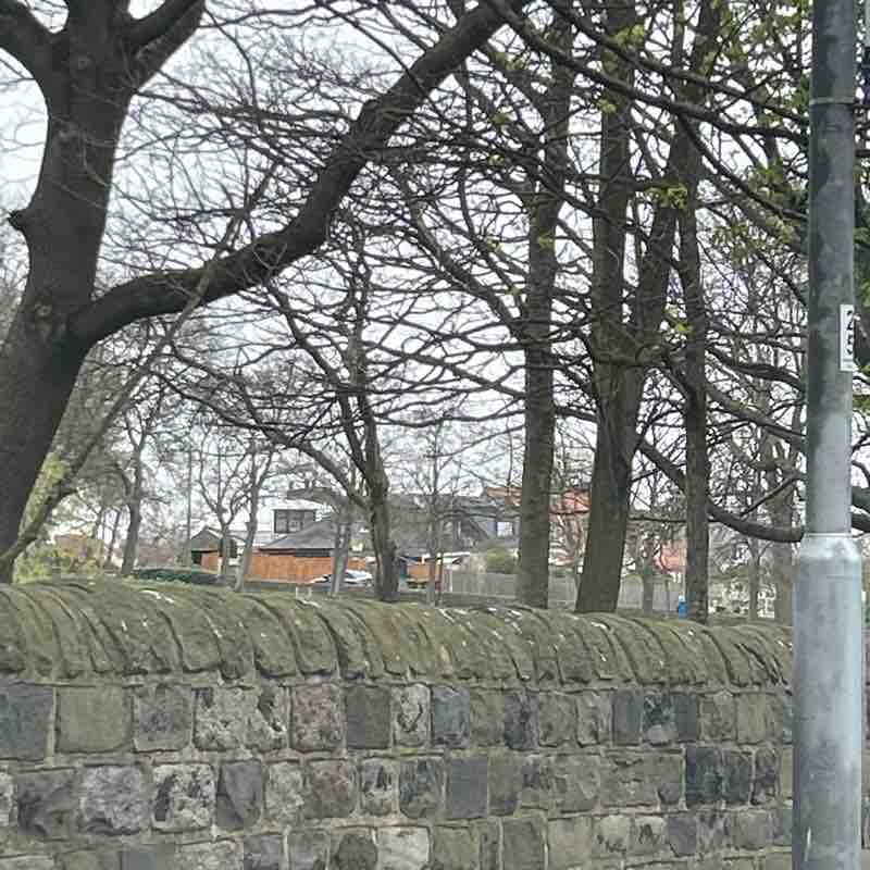 PacerGal_1998 post 1