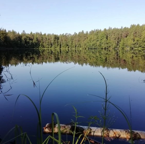 MidnightStranger post 3