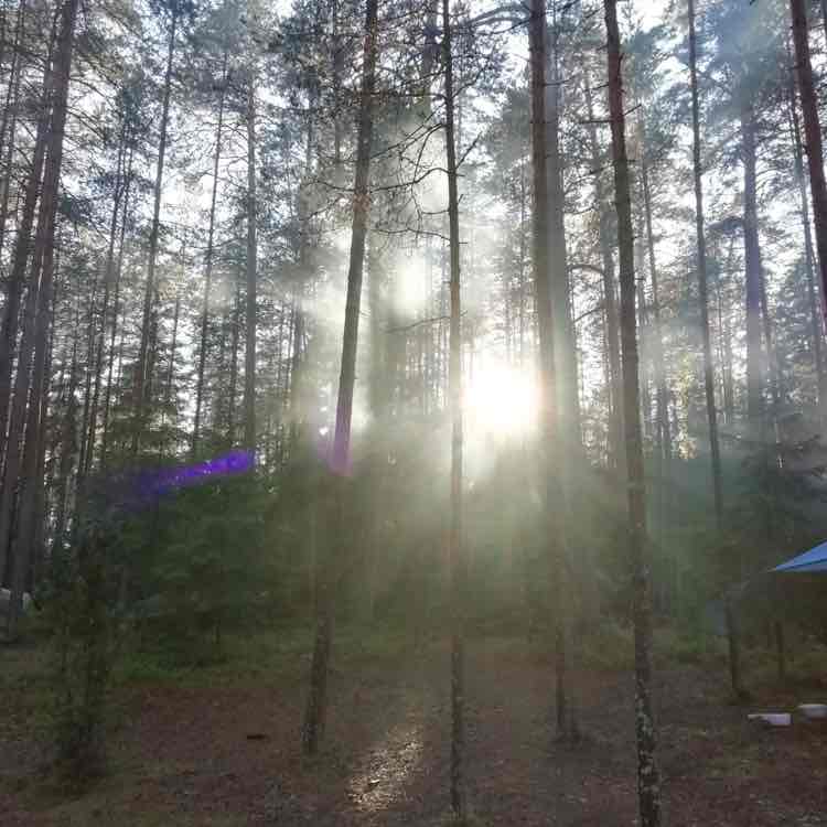 MidnightStranger post 1