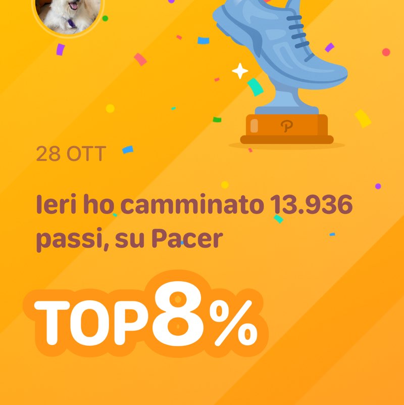 🌺Annamaria🐾 post 1