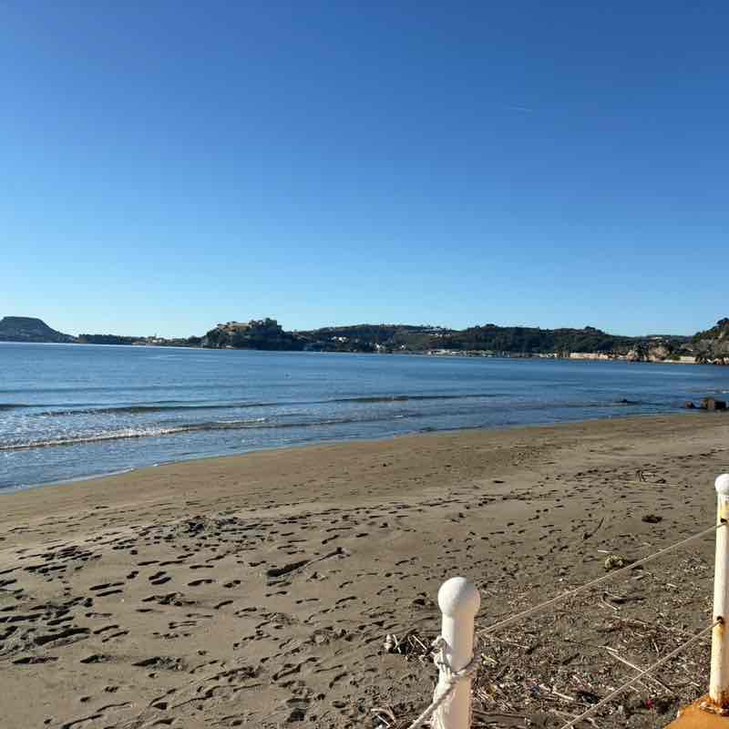 🌺Annamaria🐾 post 1