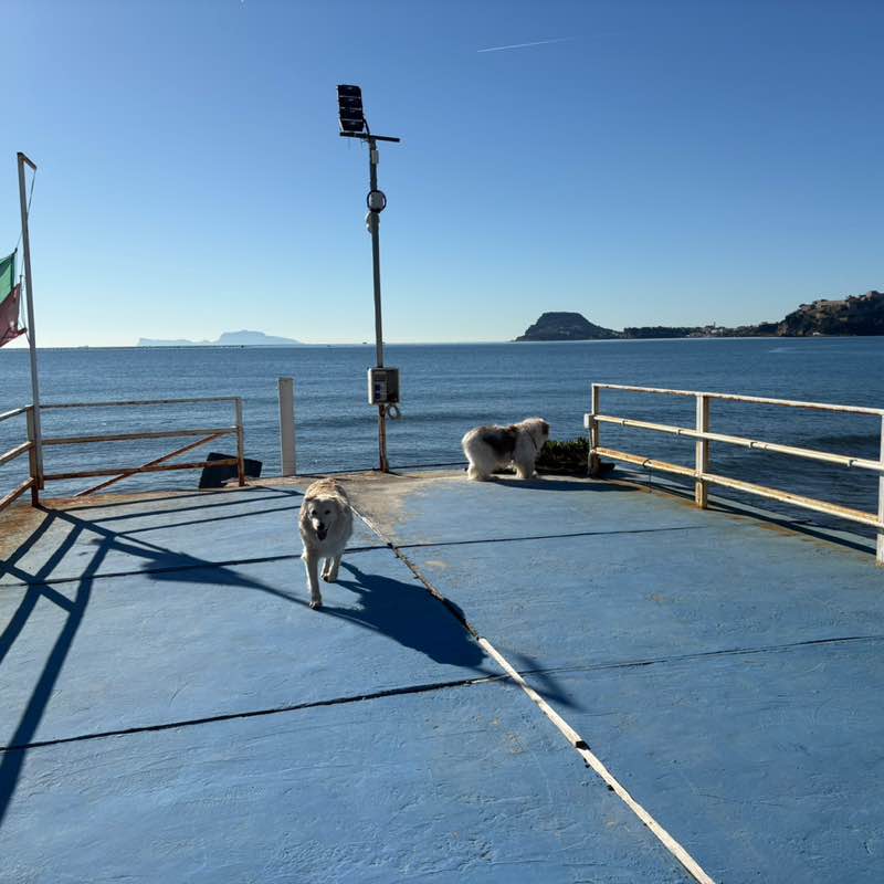 🌺Annamaria🐾 post 1