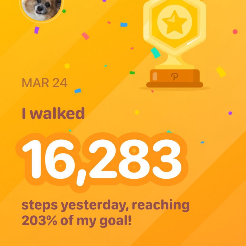 🌸ChiMama🌸🪴🌸 post 1