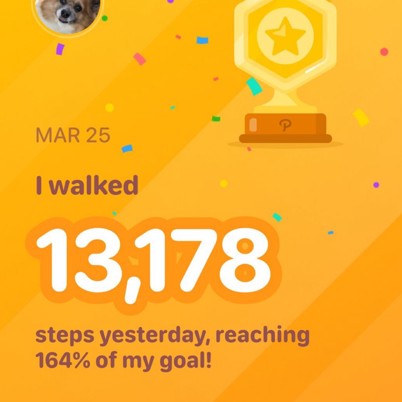 🌸ChiMama🌸🪴🌸 post 1