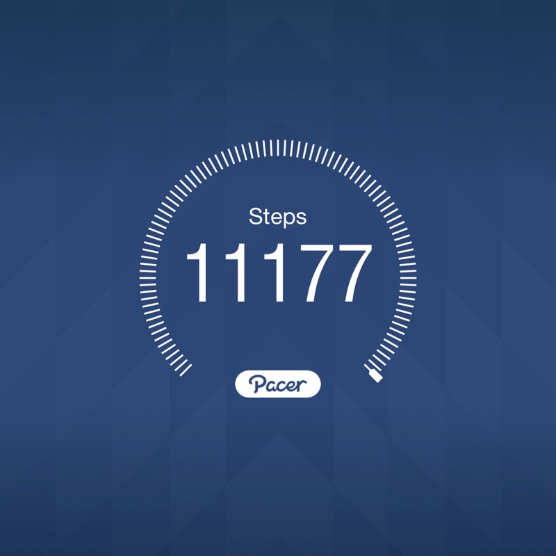 🌸ChiMama🌸🪴🌸 post 1