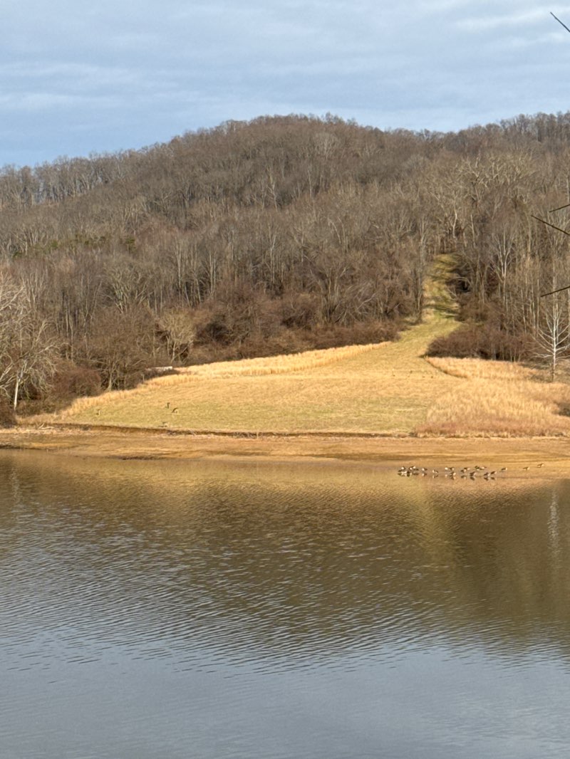 walking near me in Stonewall Resort State Park in winter