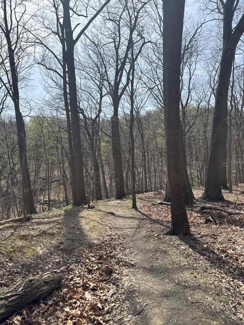 walking near me in Harrison Hills Park in spring