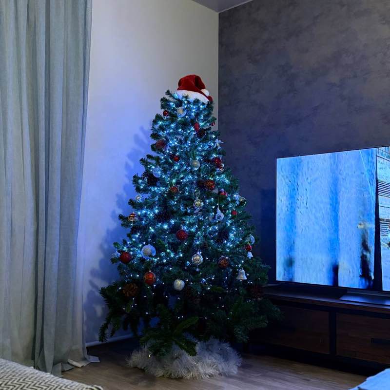 ЧЕСТНОХОД Kirill V. Stepanenko post image