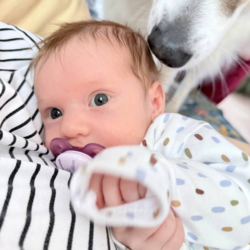 ЧЕСТНОХОД Kirill V. Stepanenko post image