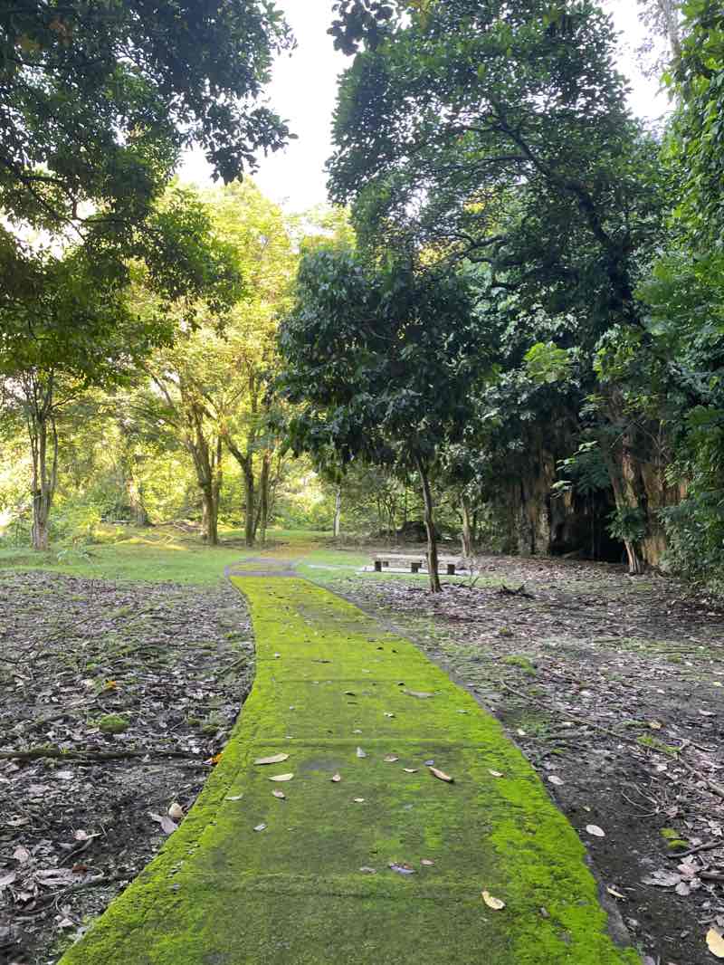 walking near me in Gunung Lang Recreational Park in winter